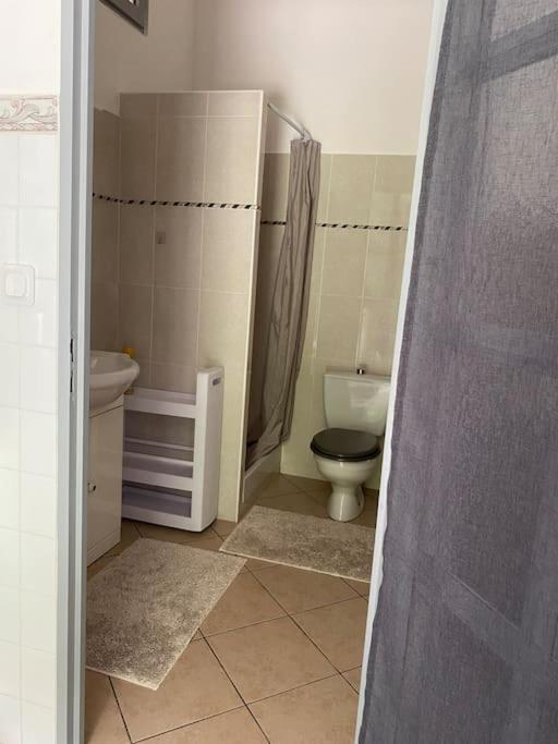 Villa Serenice - F2 Au Calme, Climatise, Wifi Et Parking Gratuit Экстерьер фото