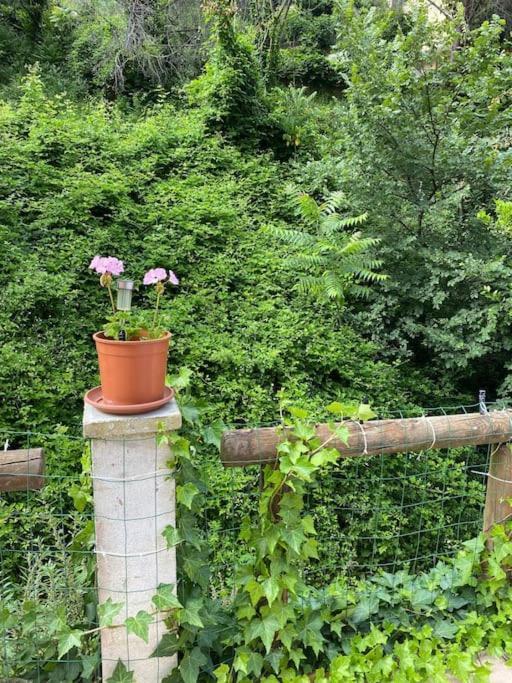 Villa Serenice - F2 Au Calme, Climatise, Wifi Et Parking Gratuit Экстерьер фото